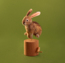 Hopping Bunny Automata